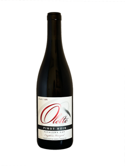 Olet'te 2022 Pinot Noir Petaluma Gap Cayetana Vineyard