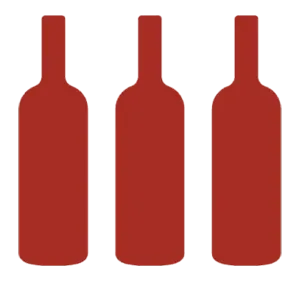 bottle icon